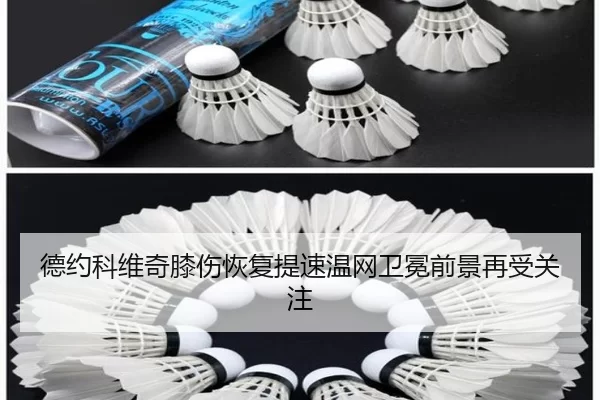 德约科维奇膝伤恢复提速温网卫冕前景再受关注